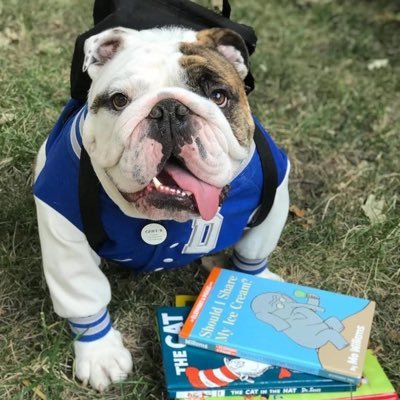 I am the official live mascot for @DrakeUniversity. I am the successor to Griff I, named after John L. Griffith, who organized the first @DrakeRelays in 1910.