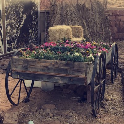 OnizKy_KXs's profile picture. す た よ げ ぅ ハ ワ い ひ を ぢ ゃ サ リ