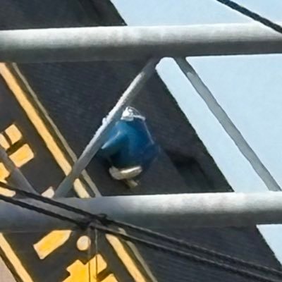 u0yzAYTbCC76748's profile picture. 