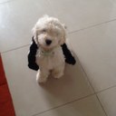 sandra dunne - @sandrad0603 - Twitter