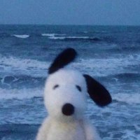 miri 🩵 (@belovedmiri) 's Twitter Profile Photo miri 🩵 (@belovedmiri) 's Twitter Profile Photo