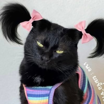 saylor_ana Profile Picture
