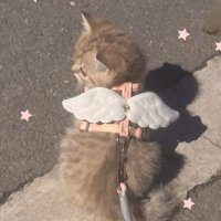 ㅇ² (@_wonwon2_) 's Twitter Profile Photo