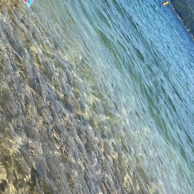 artysnthsy17's profile picture. kyoto、アニメ、声優、紅茶大大大大大好き❤️ コスプレしたい😫