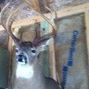 tyler wade hendren - @8Hendren - Twitter