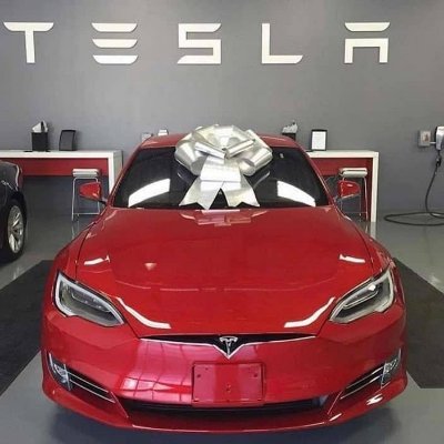 Teslaad123's profile picture. paroudy