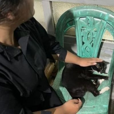 CandyBeforeKiss's profile picture. ⚠️ fat area