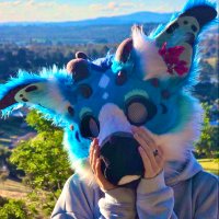 STYX :3c (@dutchie_styx) 's Twitter Profile