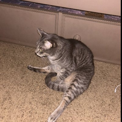 Grad_Val's profile picture. Valorant player for @LTUesports