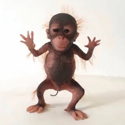 não sou eu, esse perfil que você está vendo é uma ilusão da sua cabeça