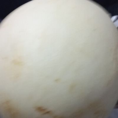 jlfhls1bkiIlxo's profile picture. 