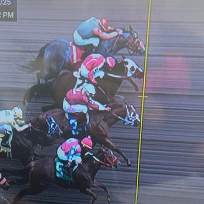 parkerlyonsii's profile picture. 