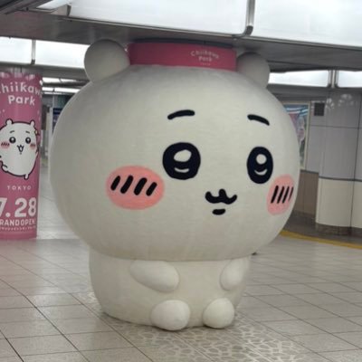 un11451's profile picture. 男　多趣味　成人済