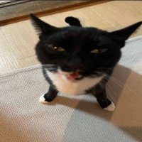 StringBeansGD (@stringbeansgd) 's Twitter Profile