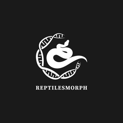 ReptilesMorph's profile picture. 新潟県におるボールパイソン自家繁殖販売、モルフ指定輸入及び代理輸入はお気軽にご相談ください、まだまだ未熟なところもありますが、よろしくお願いします。🙇 （新潟県南魚保第 2501011号）