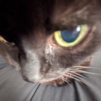 eowynhoffmnn's profile picture. 🕸️🦇