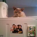 Anna Forrest - @axforre - Twitter