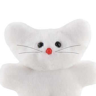 ねことくま 🐈🐻‍❄️🦭さんのプロフィール画像