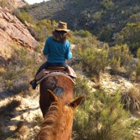Baviaans Overland Horse Trails (@karoopixie) 's Twitter Profile