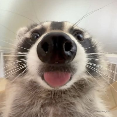 ByMaxi1415's profile picture. 