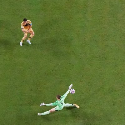 RomanGo72871491's profile picture. 