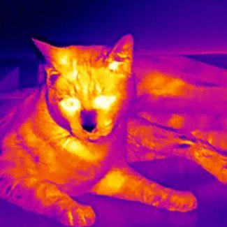 ELENAthermal's profile picture. Thermal Master - Overseas Sales Specialist
DM for Cooperation!