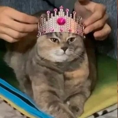 Estoy poniendo en práctica lo de vivir en mi verdad. A veces sale, otras no tanto • Me encanta hablar de mis gatos • AWAE • 5SOS • 🇦🇷♊ • ⭐️⭐️⭐️• 🔱
