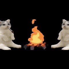 MigratorySky's profile picture. 