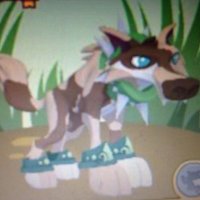 ๐ถ anya ๐ถ (@xx_shad0wpup_xx) 's Twitter Profile