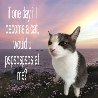 vioobie = stupid car (@dumbaliencar) 's Twitter Profile