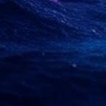 icy710.eth (@blazinup710) 's Twitter Profile Photo icy710.eth (@blazinup710) 's Twitter Profile Photo