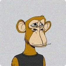 MelissaSha51123's profile picture. 自然と旅と珈琲を愛するフリーランスです。もともと海の仕事をしていましたが、病の後遺症で陸暮らしになりました。北極と赤道を行き来しながら、今も精一杯生きています。