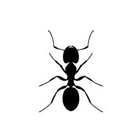 ant-tropy (@wasdant01) 's Twitter Profile