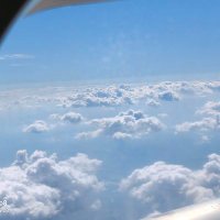 light (@light1488419982) 's Twitter Profile