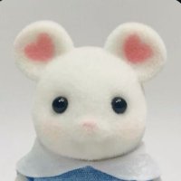 あみるﾊﾑ (@neko_nya411) 's Twitter Profile