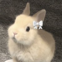 〞sunny ツ (@meowypp) 's Twitter Profile