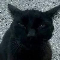 RAi O ² (@ghostofrai) 's Twitter Profile
