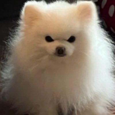 あさんのプロフィール画像