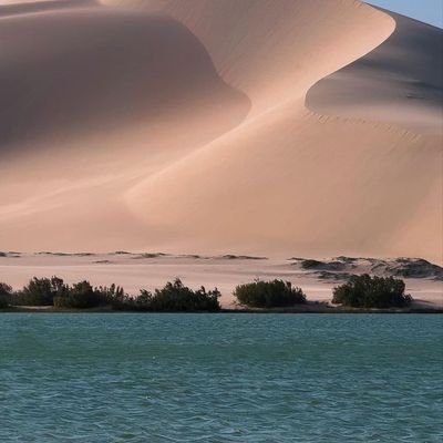 AbdullahiO84412's profile picture. 