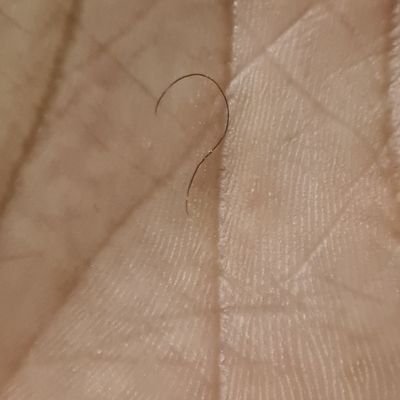 albkry's profile picture. Challenging perspectives.