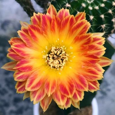 HBDOKOK1's profile picture. สุดจัด