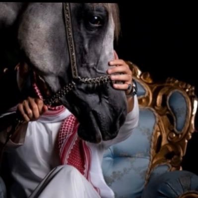 ابن البادية.. أترجم الحياة أبيات، وأخلي القصيد شاهد💚🇸🇦💚