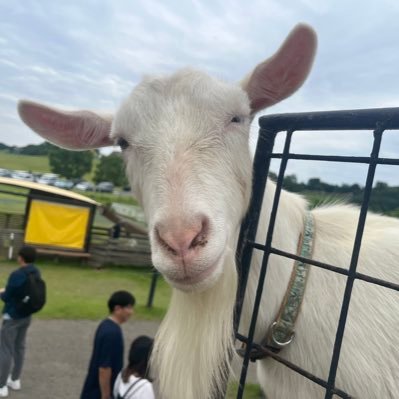 sheishei0207's profile picture. 