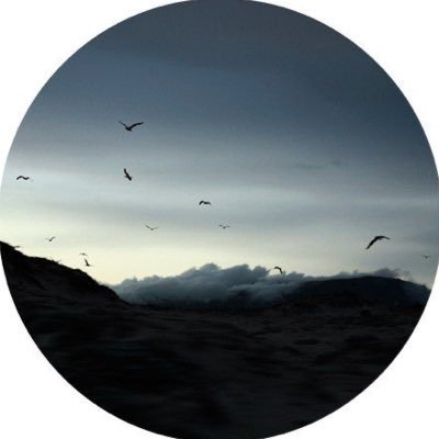 i44lvs's profile picture. 