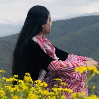 Zelal Devrim (@zelalserp) Twitter profile photo