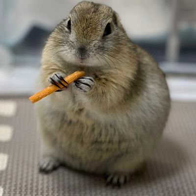 Itispsoso_game's profile picture. いろいろプログラム