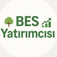 BES Yatırımcısı (@shimoda_kkk) 's Twitter Profile