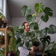 linhlovesplants's profile picture. indoor jungle keeper 🌿 | spreading green joy