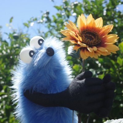 _dear_sputnik's profile picture. 