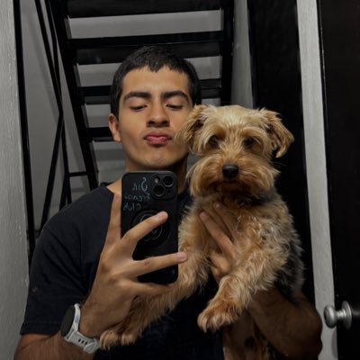 emiluxfr Profile Picture